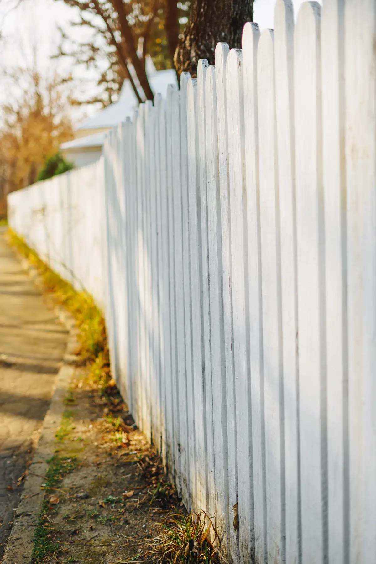 Essential Fence Maintenance Tips for Georgetown Homeowners
