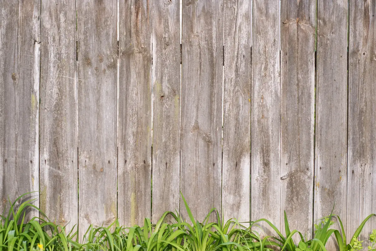 Essential Fence Maintenance Tips for Georgetown Homeowners
