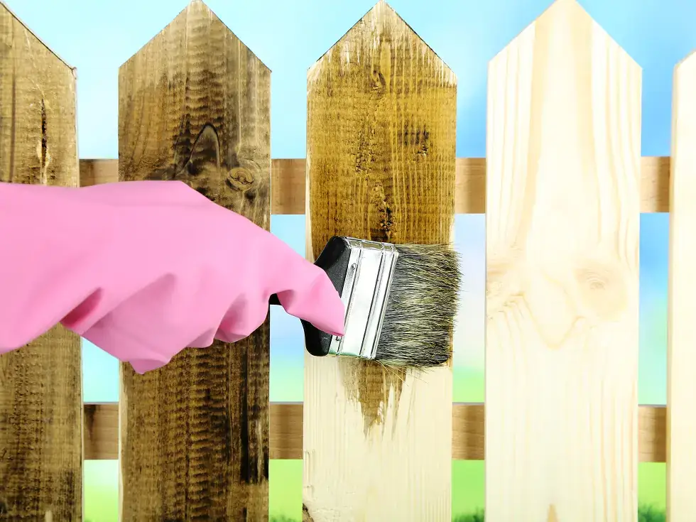 Fence Staining vs. Painting: Which Option Protects Your Fence Better?