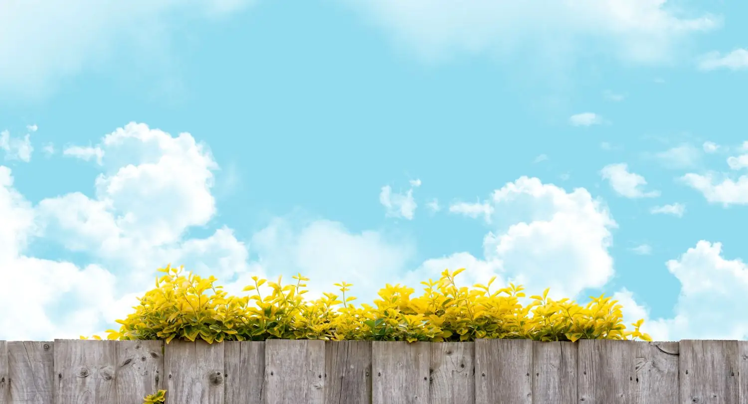 How Heat, Sun, and Humidity Break Down Your Wood Fence Over Time