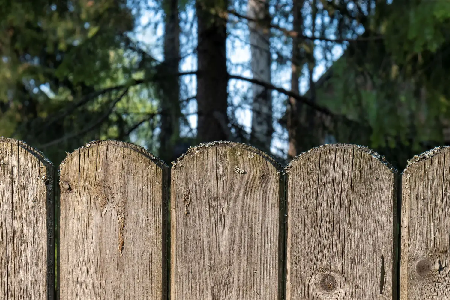 How Professional Fence Cleaning Completely Transforms Your Wood Fence
