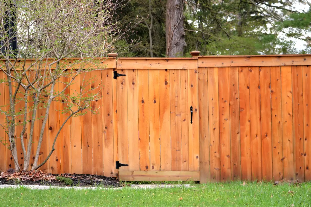 Protect Your Wood Fence From Harsh Weather Before Damage Sets In