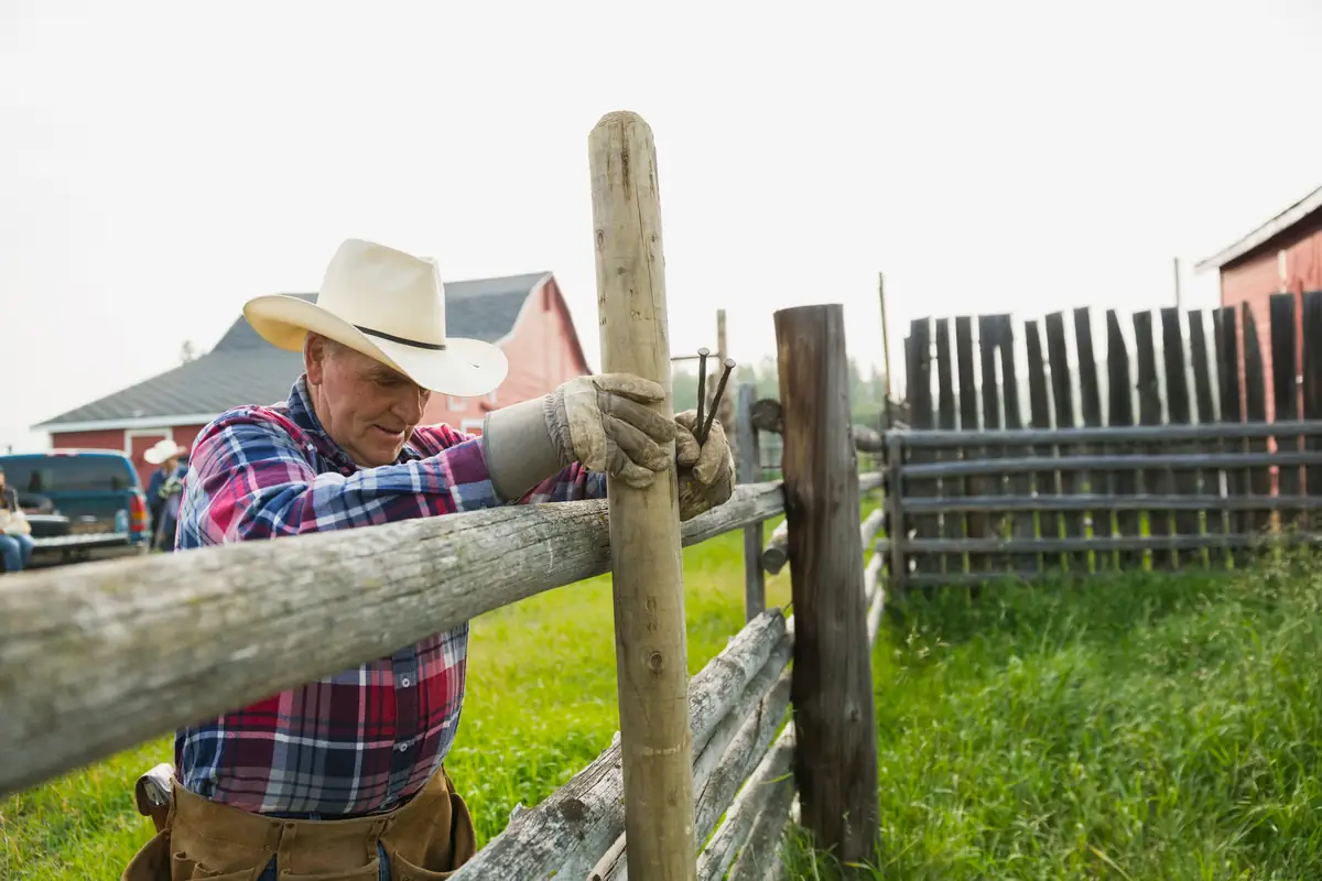 Why Seasonal Fence Maintenance Matters for Georgetown, TX Homeowners