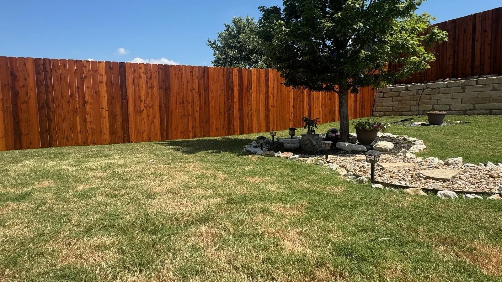 Backyard with a freshly stained wood fence in Georgetown, TX
